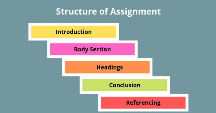 assignment model steps