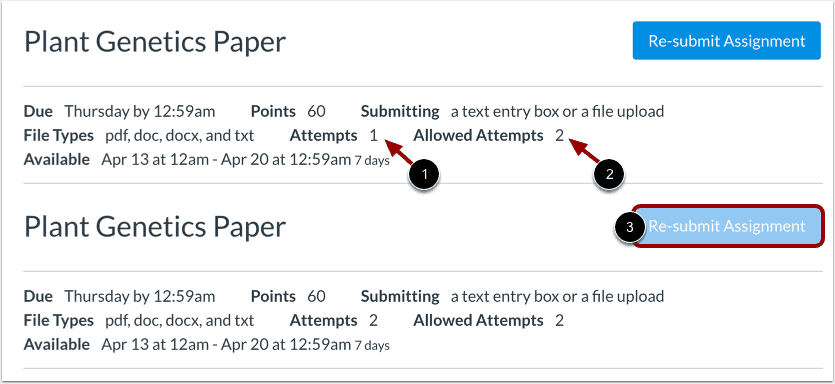 How to Submit an Assignment on Canvas