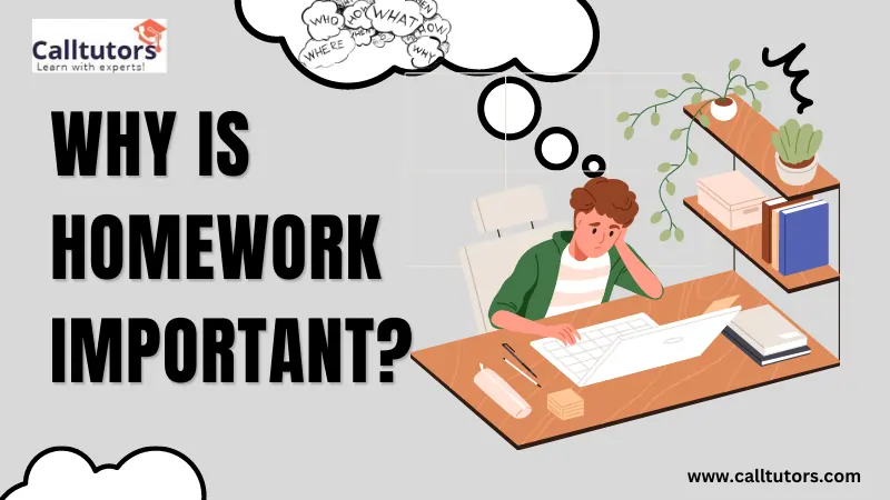 why is the homework important