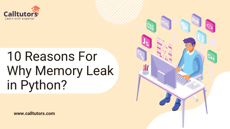 Memory Leak in Python