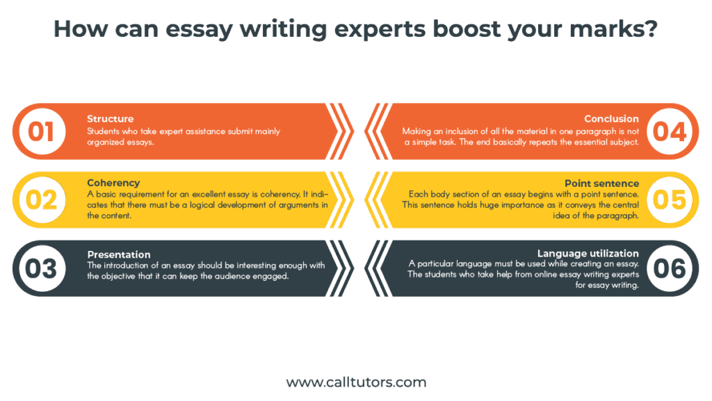 essay writing experts