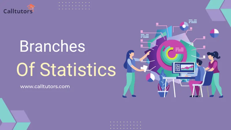 Branches of Statistics