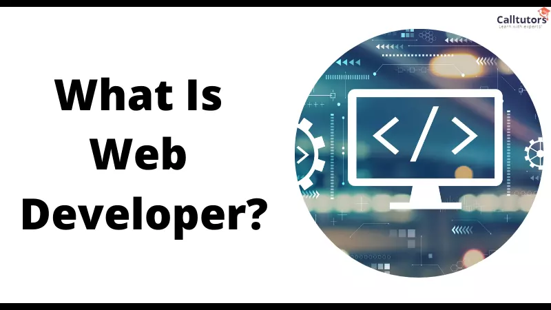 what is web developer