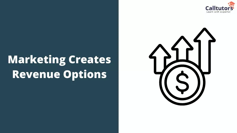 Marketing Creates Revenue Options