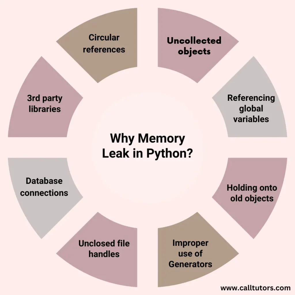 Top 10 Reasons of memory leak in Python
