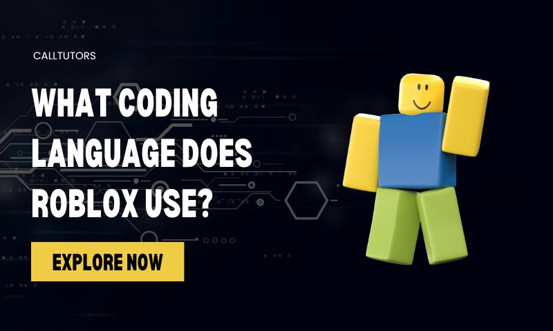 What Coding Language Does Roblox Use