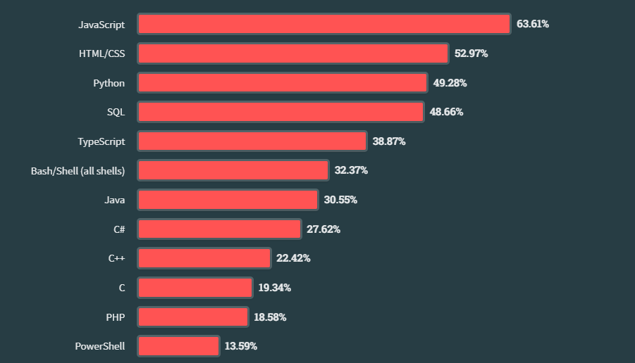 Best Programming Language To Learn For Cybersecurity