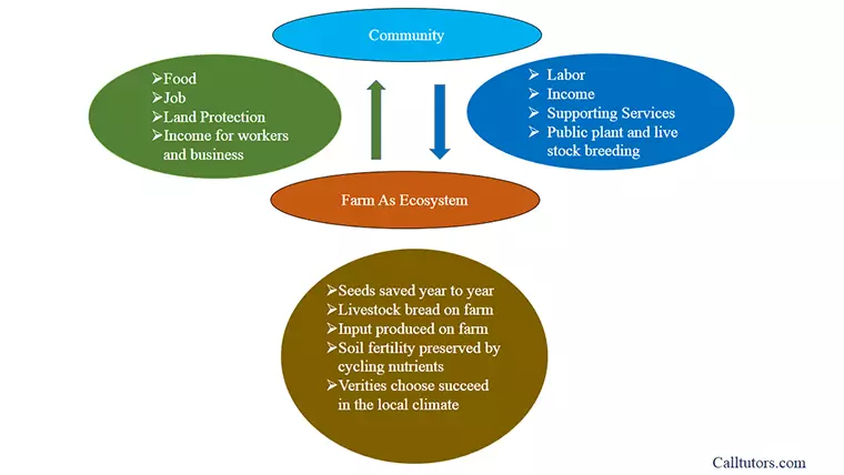 Agroecology Help