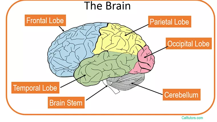 Applied Physiology Help