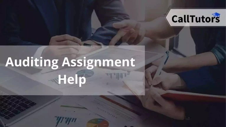 Auditing Assignment Help