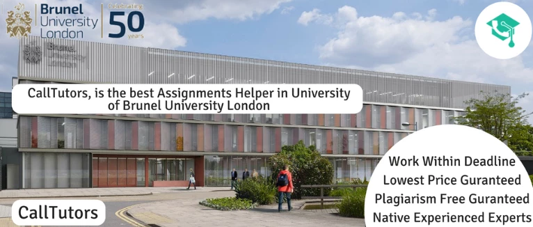 Brunel University Assignment Help