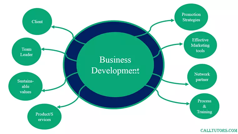 Business Development Assignment Help