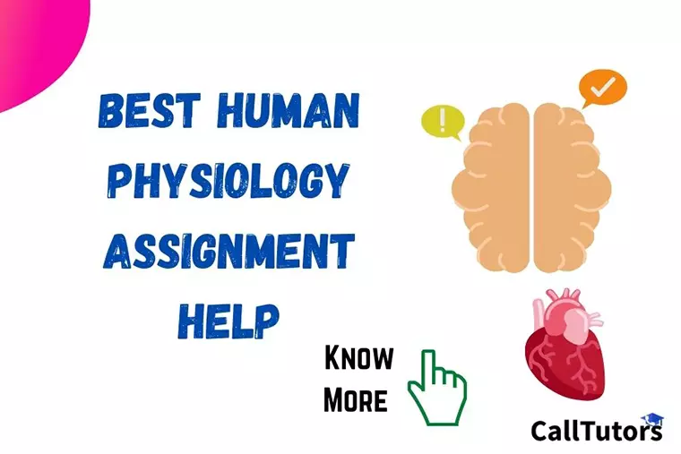 Human Physiology Assignment Help