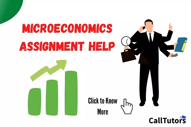 Microeconomics Assignment Help