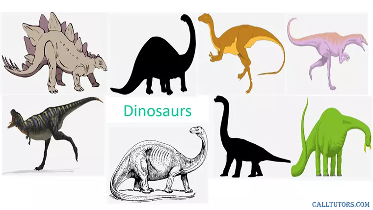 Paleontology Assignment Help