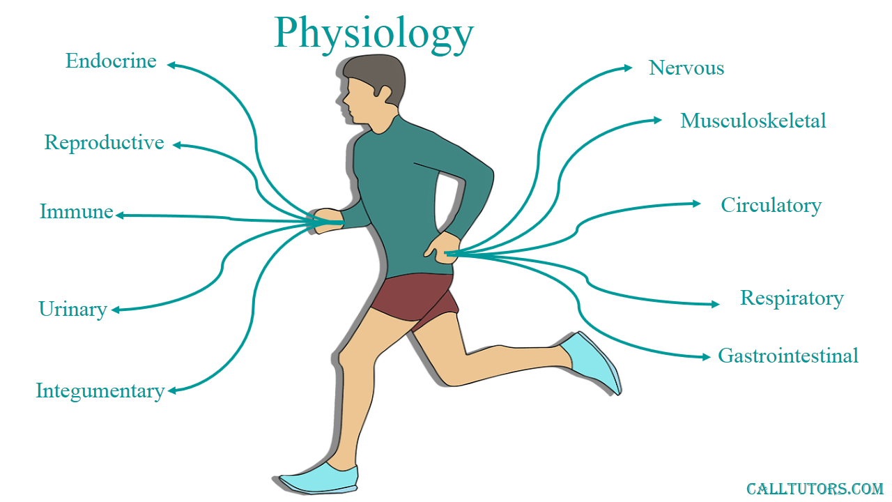 physiology