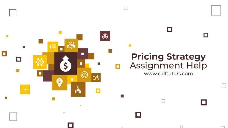 Pricing Strategy Assignment Help