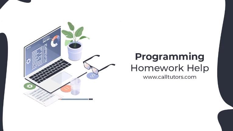 Programming homework help