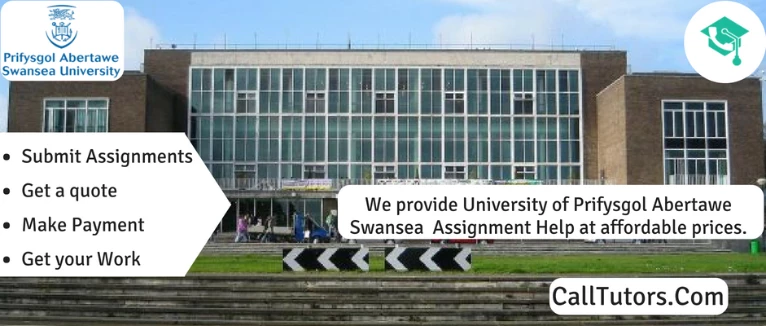 Swansea University Assignment Help
