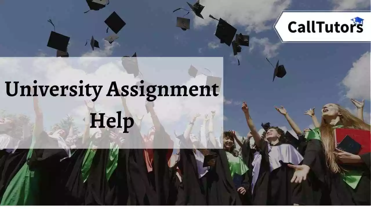 University Assignment Help