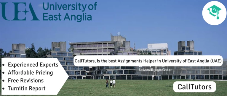 Assignment Help for University of East Angalia