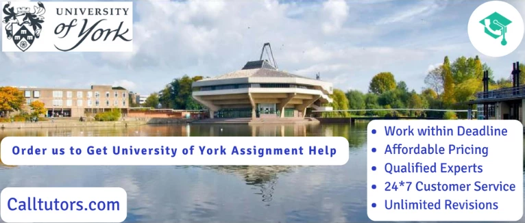 Assignment Help for University of York