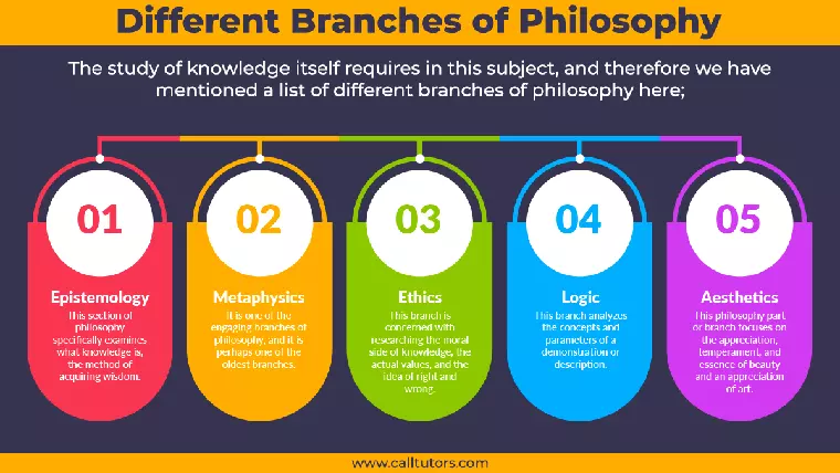 branches of philosophy