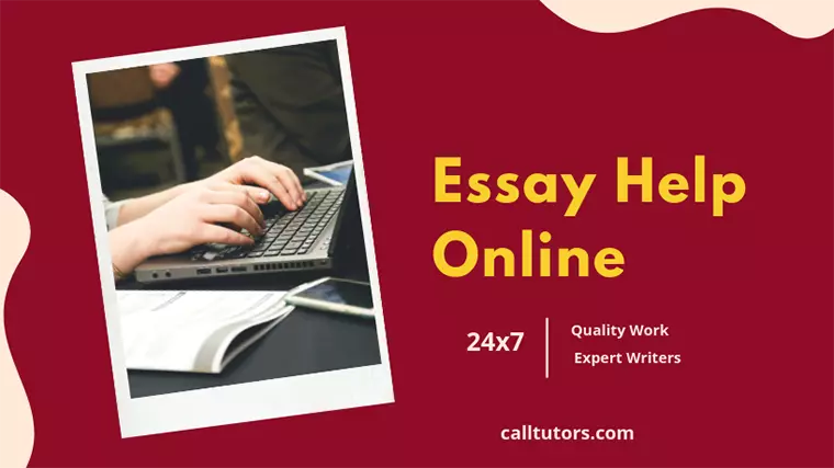  essay help online