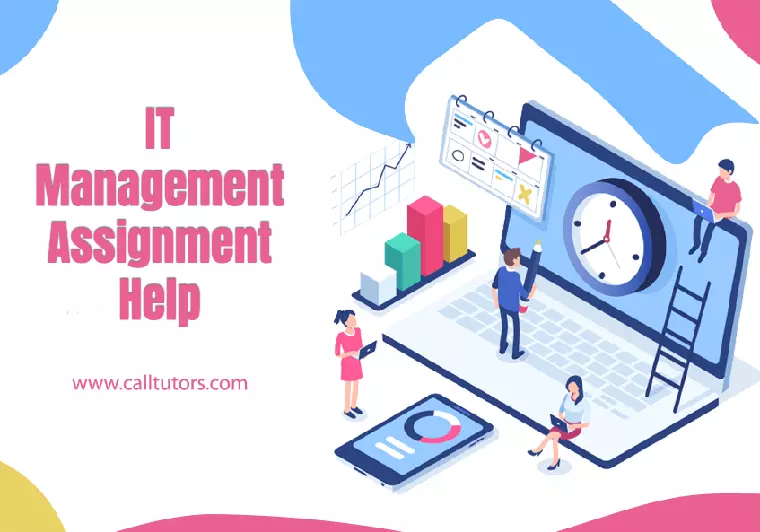 it management assignment help