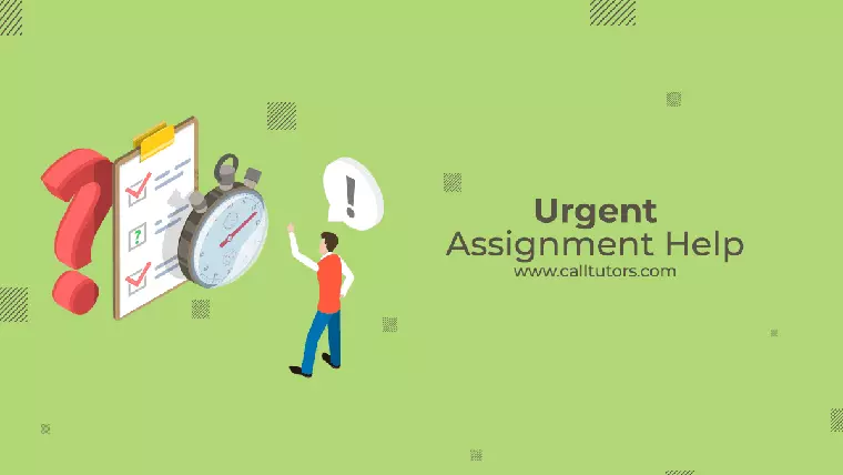 urgent assignment help