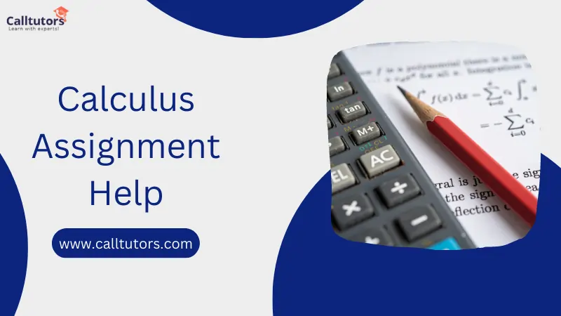 Calculus Assignment Help