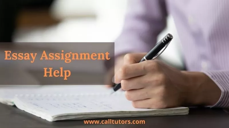 essay assignment help