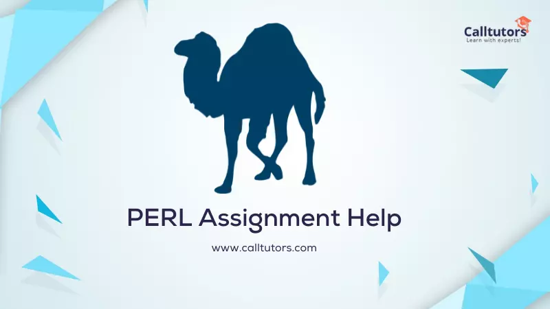Perl Assignment Help