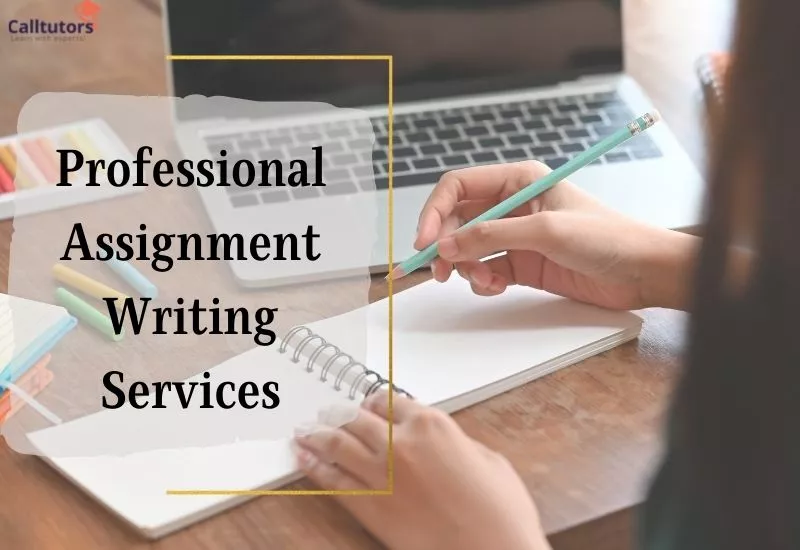 Professional Assignment Writing Services