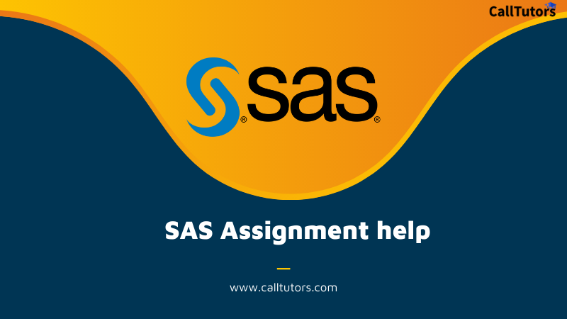 SAS Assignment Help.webp