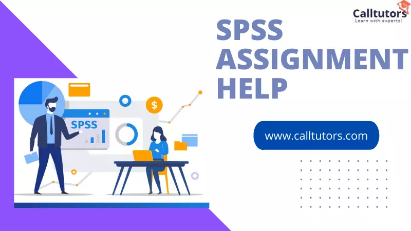 SPSS Assignment Help