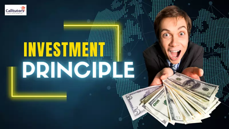 what is investment principle
