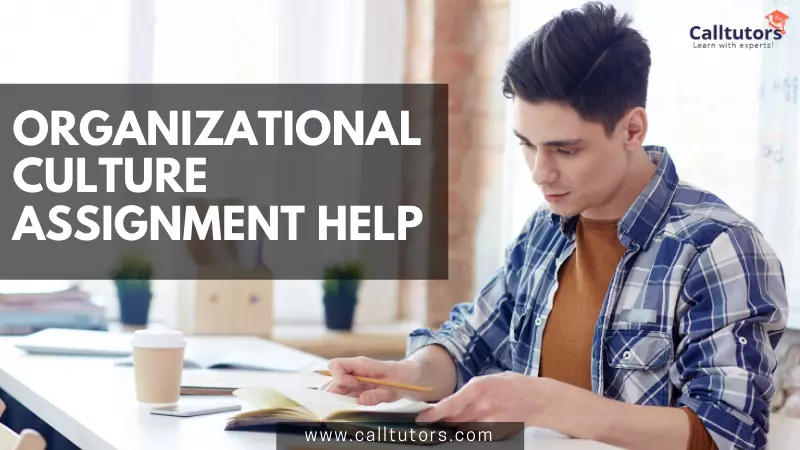 Organizational Culture Assignment Help