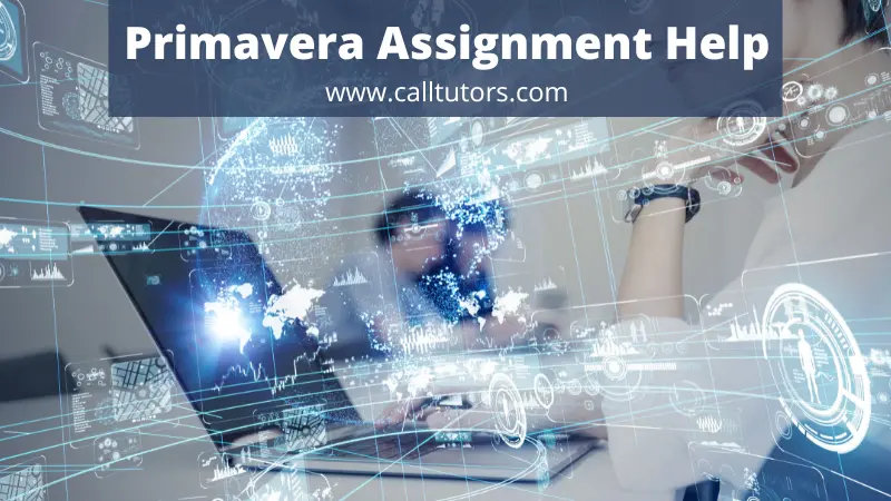 Primavera Assignment Help