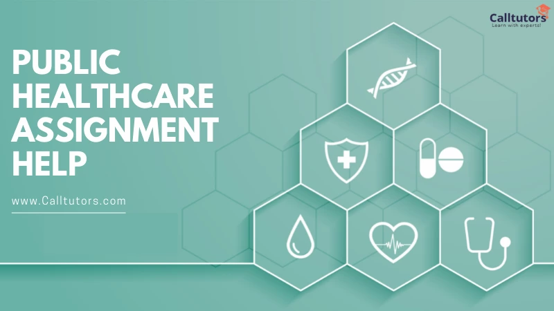 Public Healthcare Assignment Help