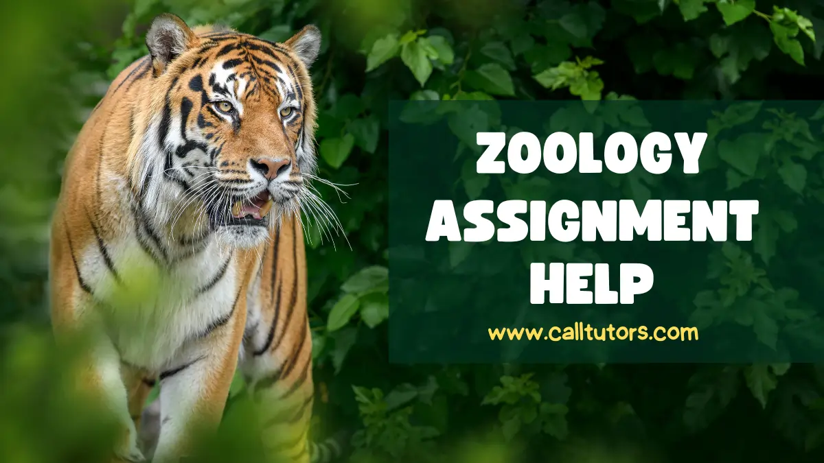 Zoology Assignment Help