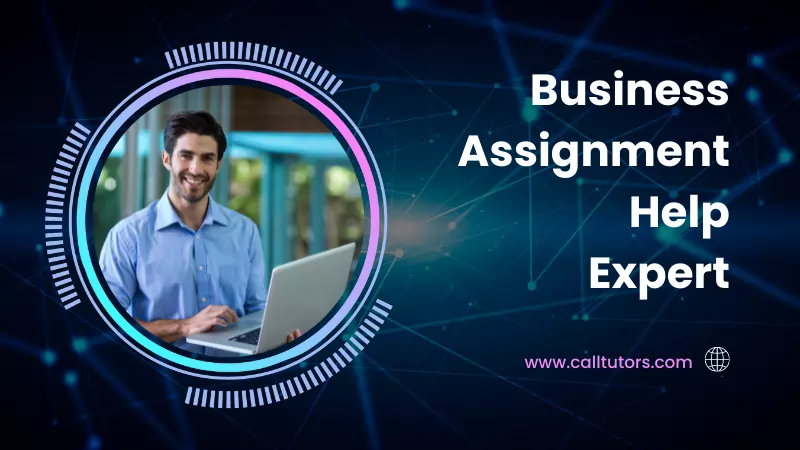 Business assignment help expert